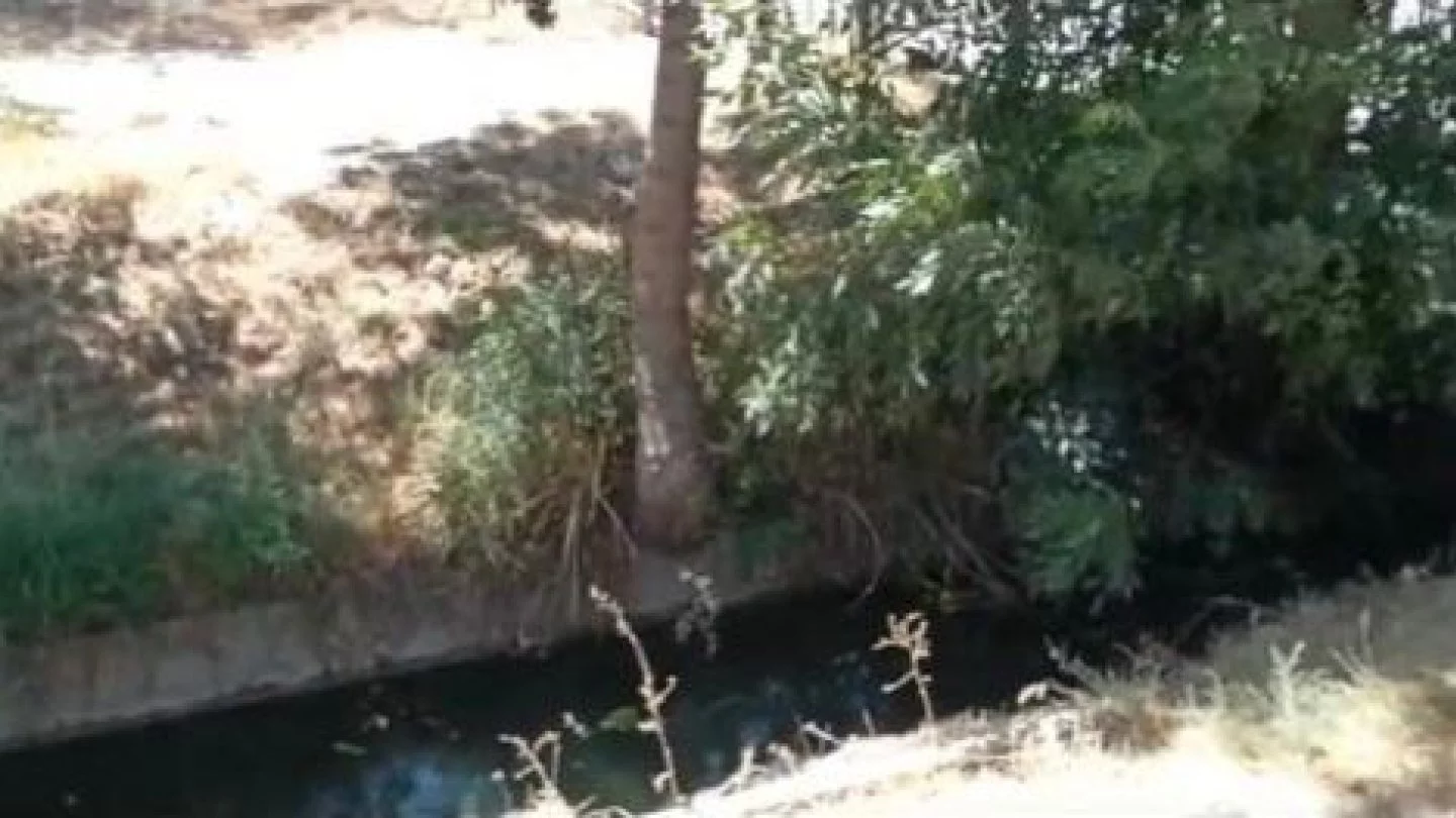 Канализационные стоки в арыках и грязная питьевая вода: жители  Туркестанской области бьют тревогу из-за слива отходов в реку