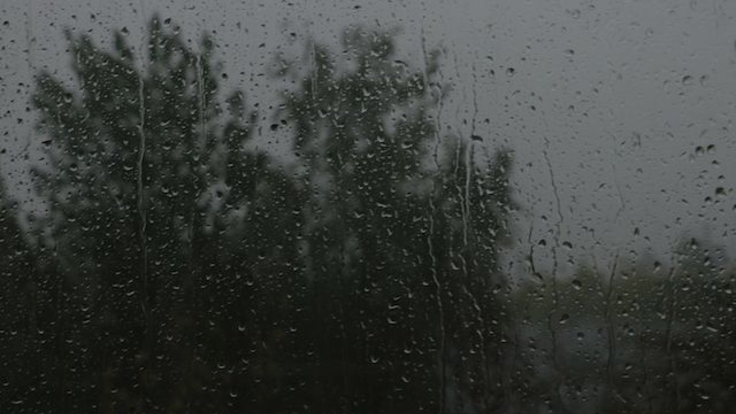 Дождь. Дождливое серое утро. Дождь в окне. Дождливая осень. Дождь который день моросит.
