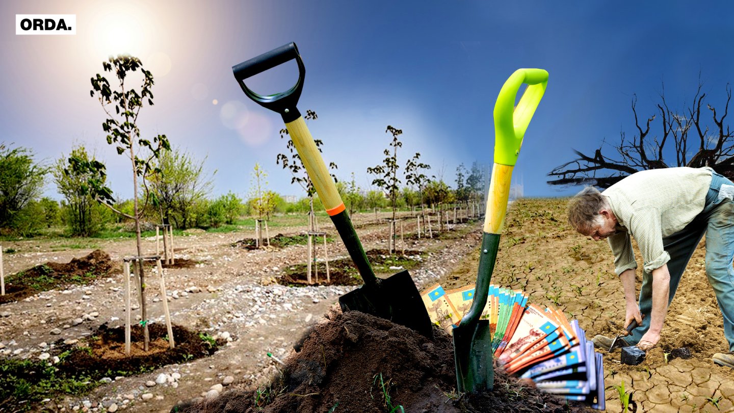 Инструменты для посадки сеянцев деревьев