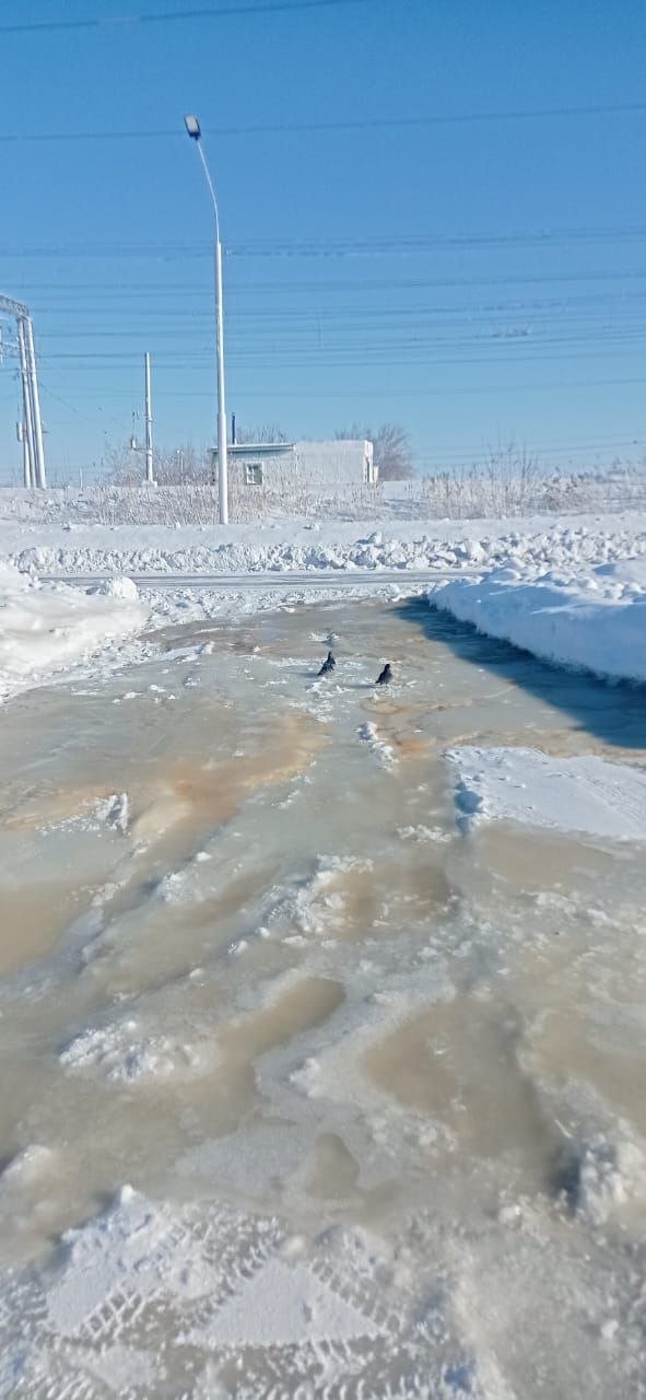 ФоÑо пÑиÑлала ÐаÑина ÐзеÑова