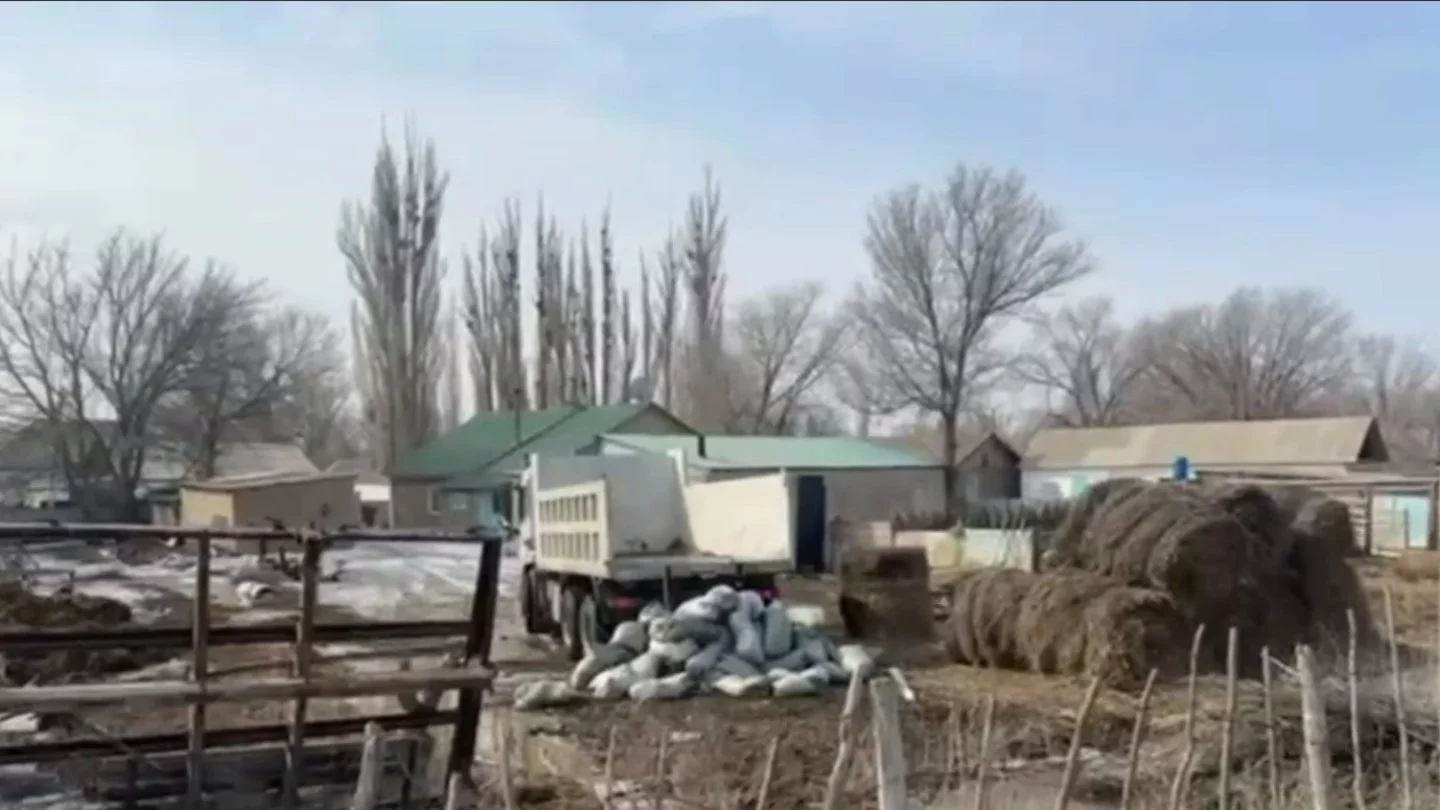 В области Абай талые воды затопили несколько жилых домов поселка