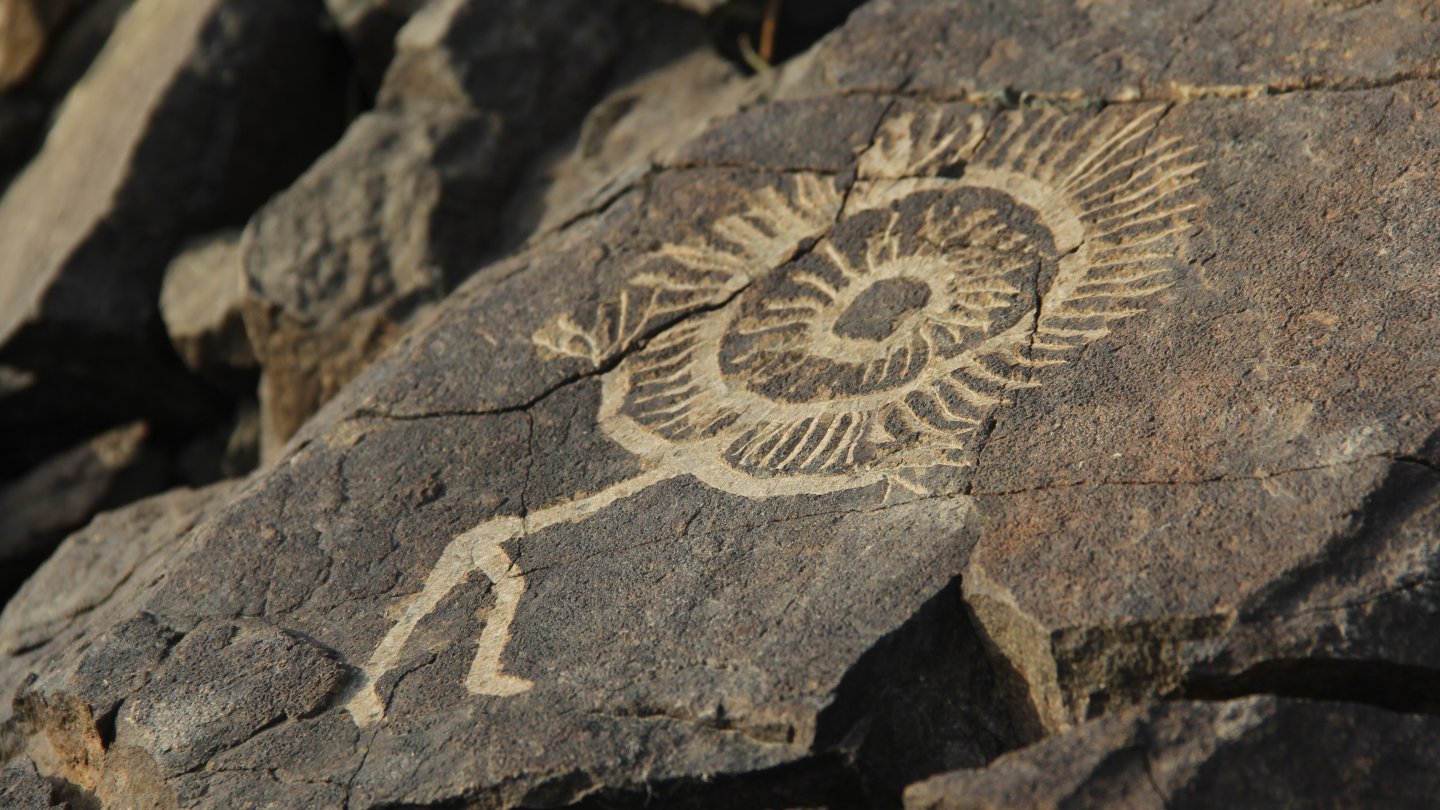 Банкнота 1000 тенге 2014 года с видом на Устюрт