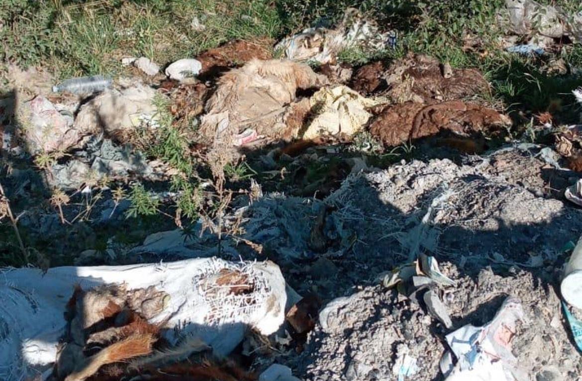 ÑÐ¾ÑÐ¾ Ñ Ð¿Ð¾ÑÑÐ°Ð»Ð° Ð¡ÐµÐ¼ÐµÐ¹ ÐÐ¹Ð½Ð°ÑÑ.