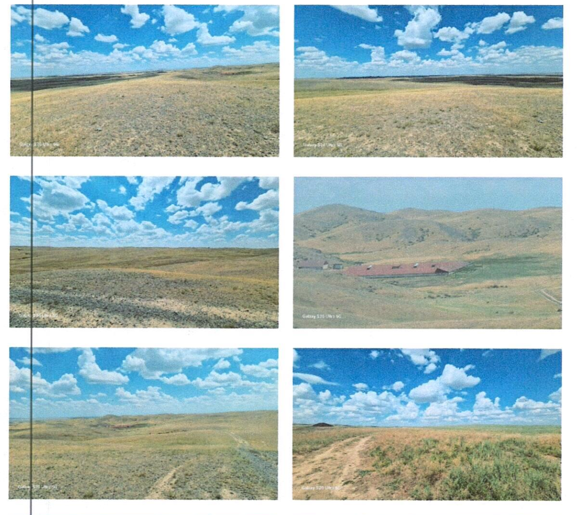 СкÑинÑоÑ: auction.e-qazyna.kz