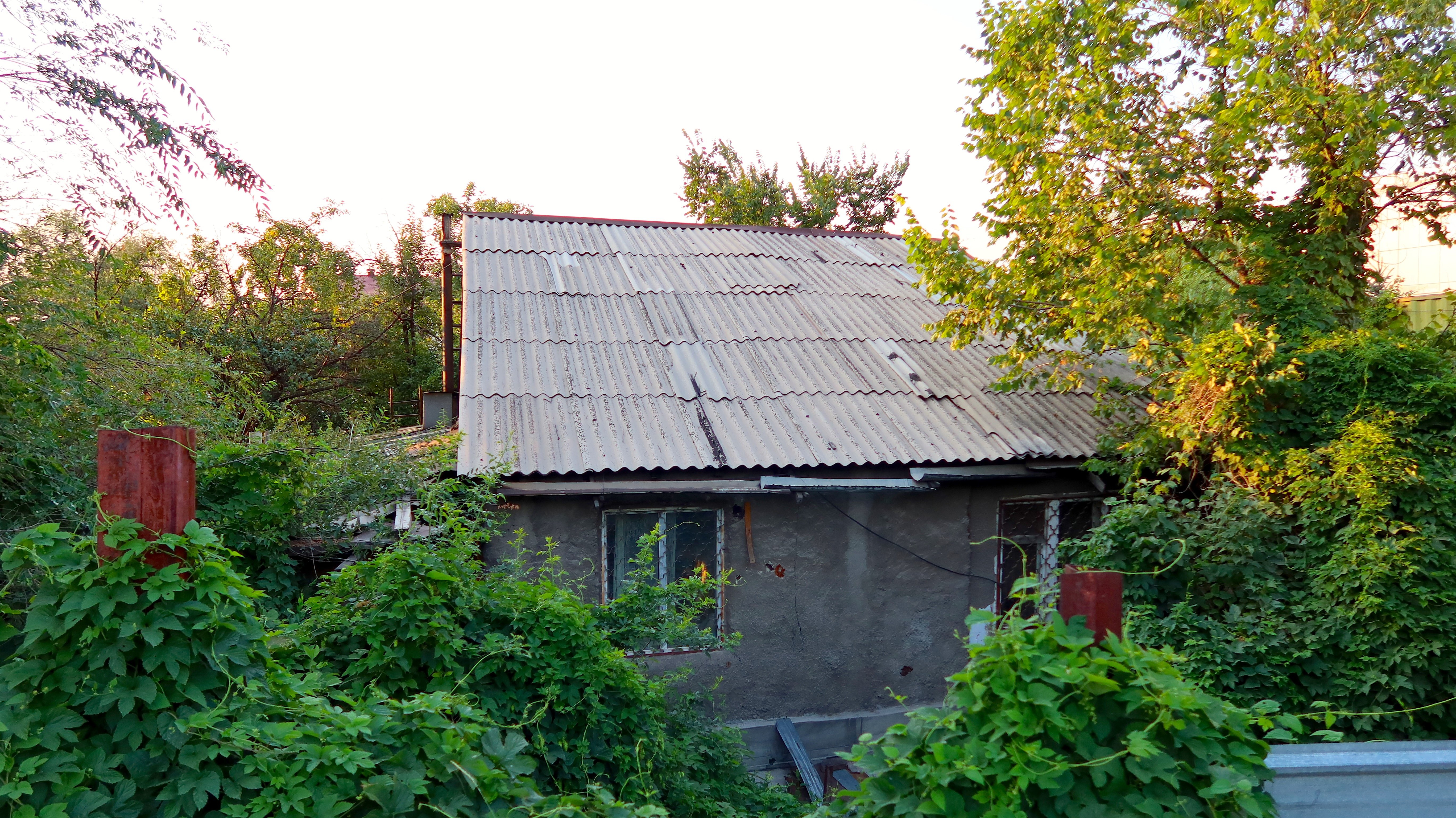 Ð¤Ð¾ÑÐ¾: Orda.kz, ÐÐ»ÐµÐºÑÐ°Ð½Ð´ÑÐ° ÐÐ¾ÑÐ¸ÑÐµÐ²Ð°