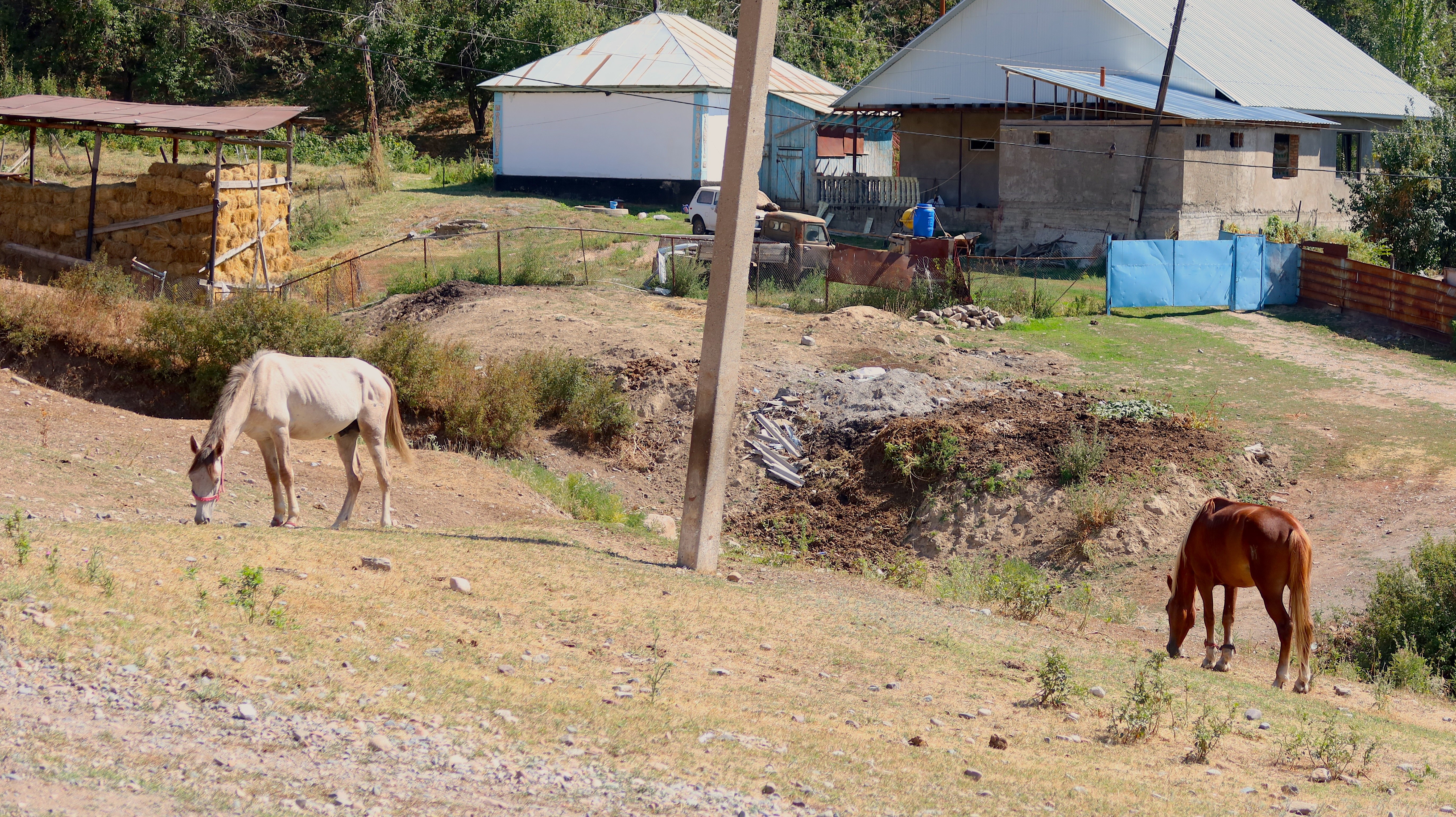 Ð¤Ð¾ÑÐ¾: Orda.kz, ÐÐ»ÐµÐºÑÐ°Ð½Ð´ÑÐ° ÐÐ¾ÑÐ¸ÑÐµÐ²Ð°