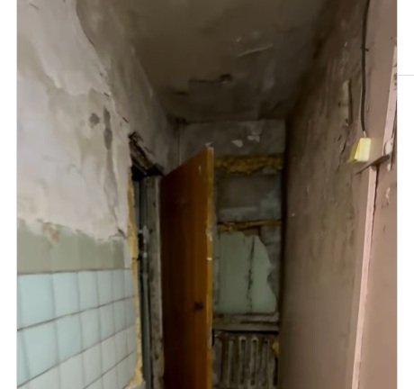 Ð¡ÐºÑÐ¸Ð½ÑÐ¾Ñ Ð²Ð¸Ð´ÐµÐ¾ Ð¢Ð¾Ð³Ð¶Ð°Ð½ ÐÐ°Ð¼Ð·ÐµÐ±Ð°ÐµÐ²Ð¾Ð¹