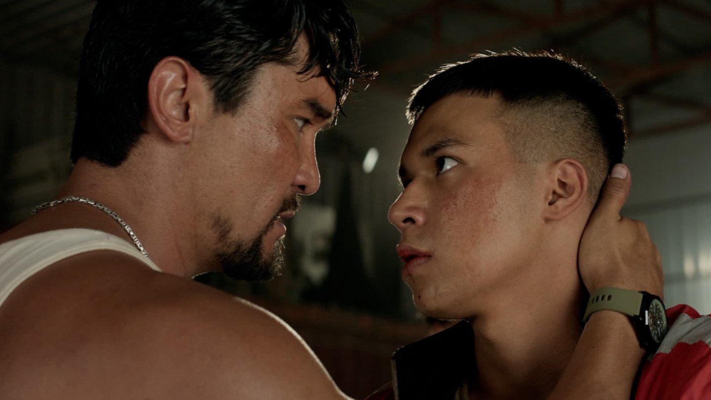 Жалқау балапандардың үйдегі суреттері