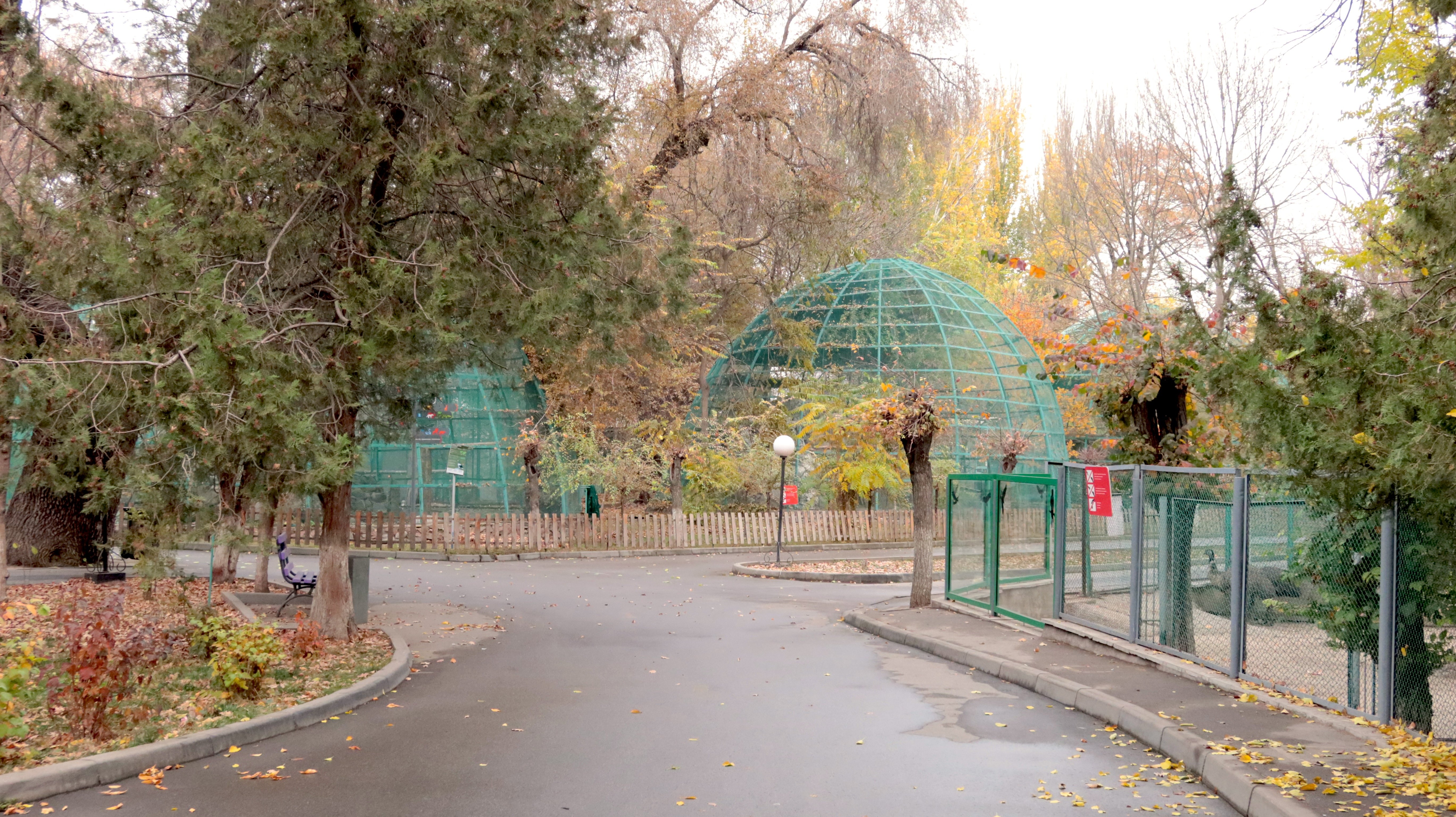 ÐÐ³ÑÐ¾Ð¼Ð½ÑÐµ ÐºÐ»ÐµÑÐºÐ¸ Ñ Ð¿ÑÐ¸ÑÐ°Ð¼Ð¸. Ð¤Ð¾ÑÐ¾: Orda.kz, ÐÐ»ÐµÐºÑÐ°Ð½Ð´ÑÐ° ÐÐ¾ÑÐ¸ÑÐµÐ²Ð°