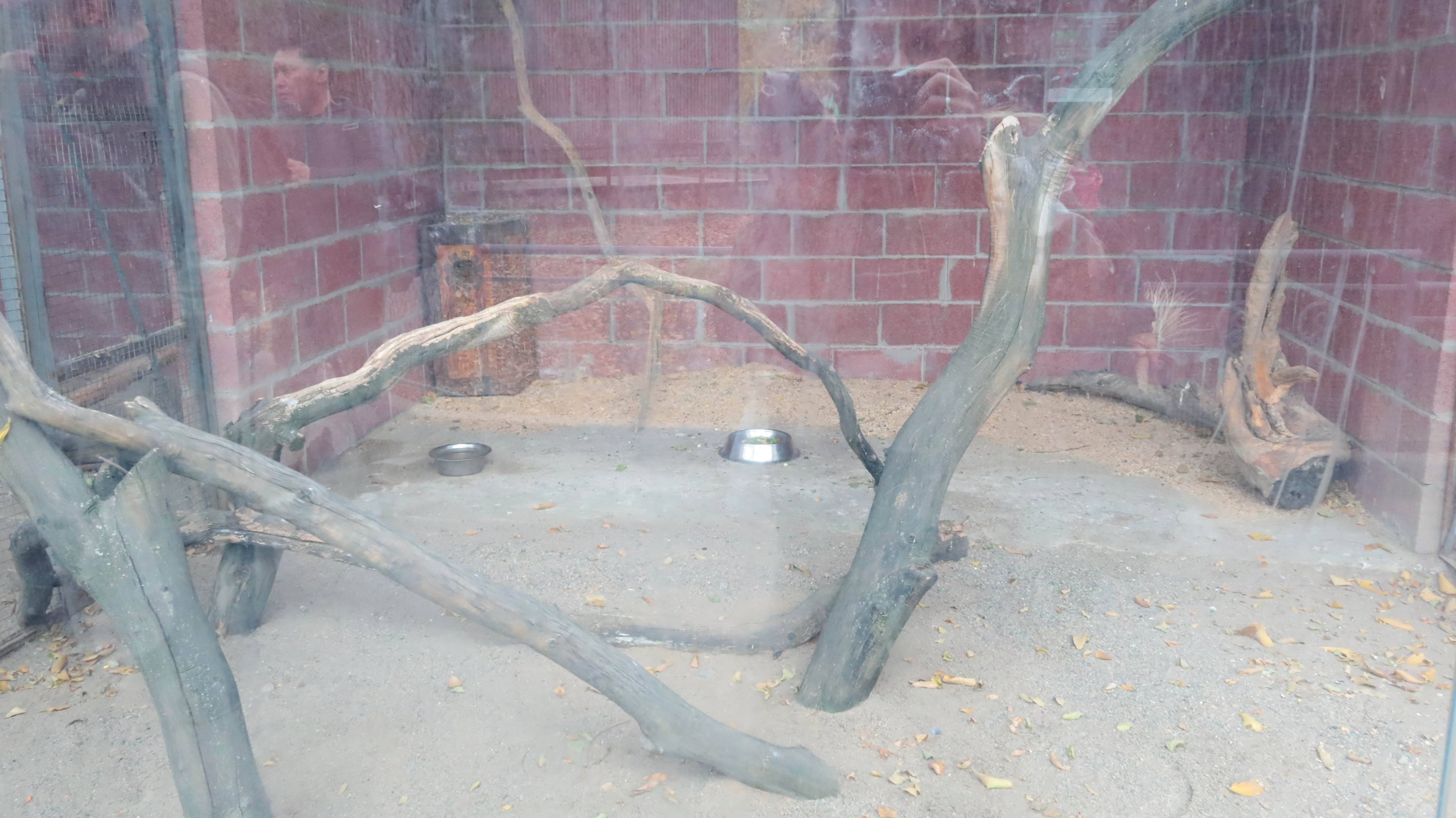 ÐÐ¾Ð»ÑÐµÑ, Ð³Ð´Ðµ Ð´Ð¾Ð»Ð¶ÐµÐ½ Ð±ÑÐ» Ð±ÑÑÑ ÑÑÐºÐ°Ð½, Ð½Ð¾ ÑÐ¿ÑÑÑÐ°Ð»ÑÑ. Ð¤Ð¾ÑÐ¾: Orda.kz, ÐÐ»ÐµÐºÑÐ°Ð½Ð´ÑÐ° ÐÐ¾ÑÐ¸ÑÐµÐ²Ð°