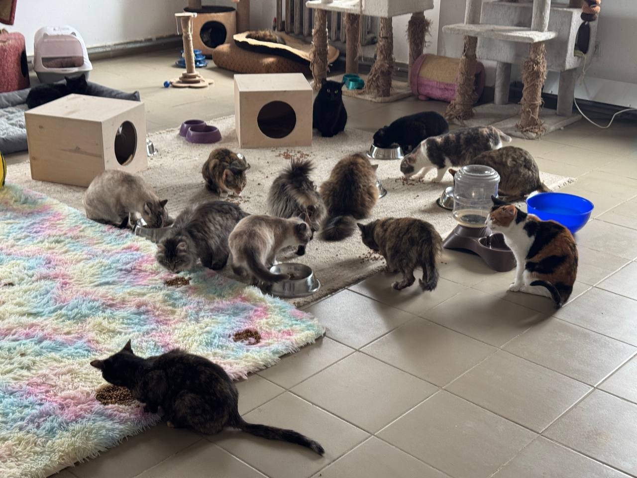 Ð¤Ð¾ÑÐ¾: Orda.kz