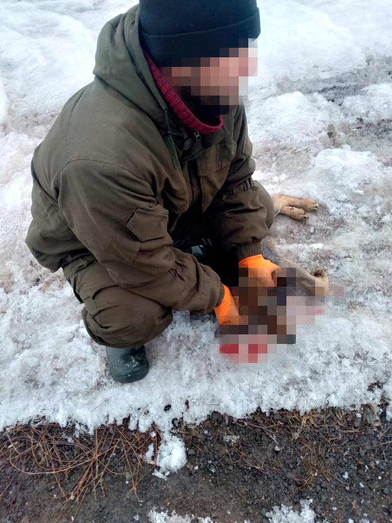 Ð¤Ð¾ÑÐ¾ Ð¿ÑÐµÐ´Ð¾ÑÑÐ°Ð²Ð»ÐµÐ½Ð¾ ÐÑÐ¸Ð½Ð¾Ð¹ ÐÑÐµÐ±ÑÐ½ÐºÐ¸Ð½Ð¾Ð¹