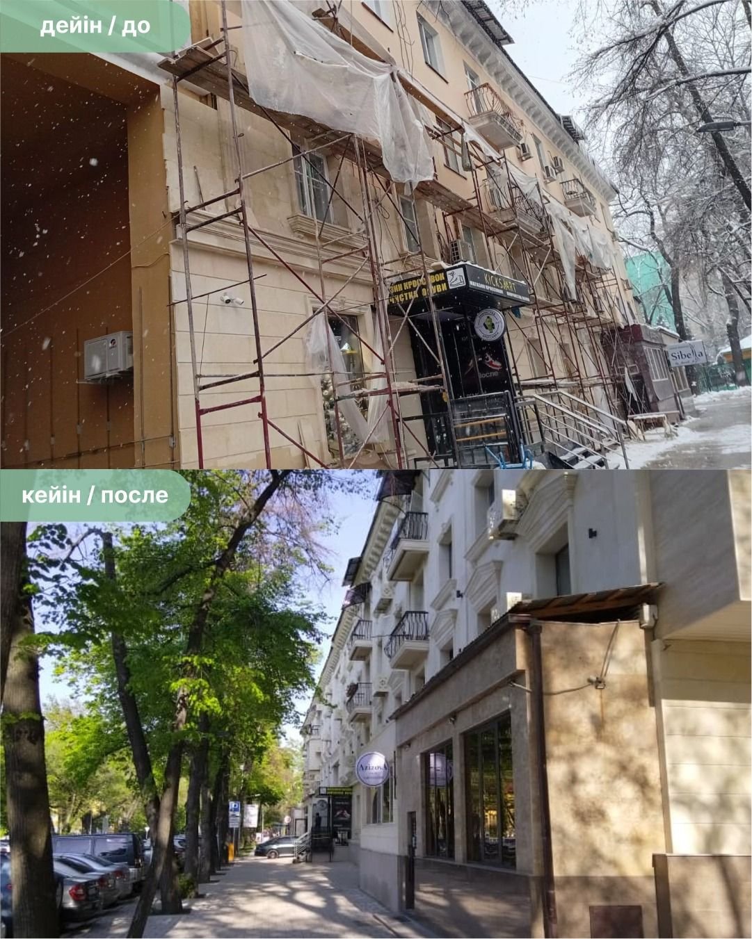 Ð¤Ð¾ÑÐ¾: ÐÐºÐ¸Ð¼Ð°Ñ ÐÐ»Ð¼Ð°ÑÑ