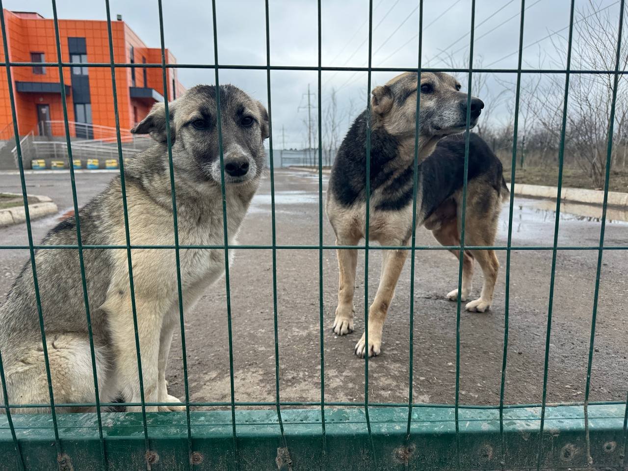 Ð¤Ð¾ÑÐ¾: Orda.kz