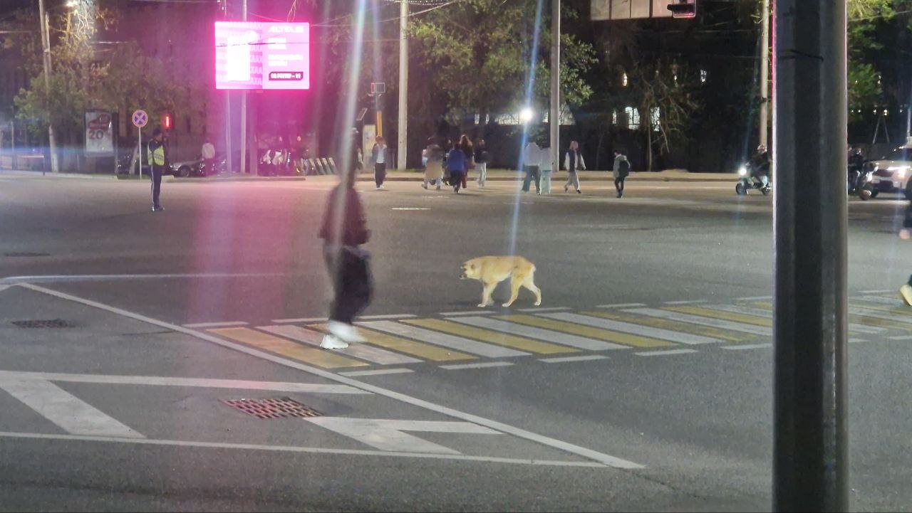 Ð¤Ð¾ÑÐ¾: Orda.kz