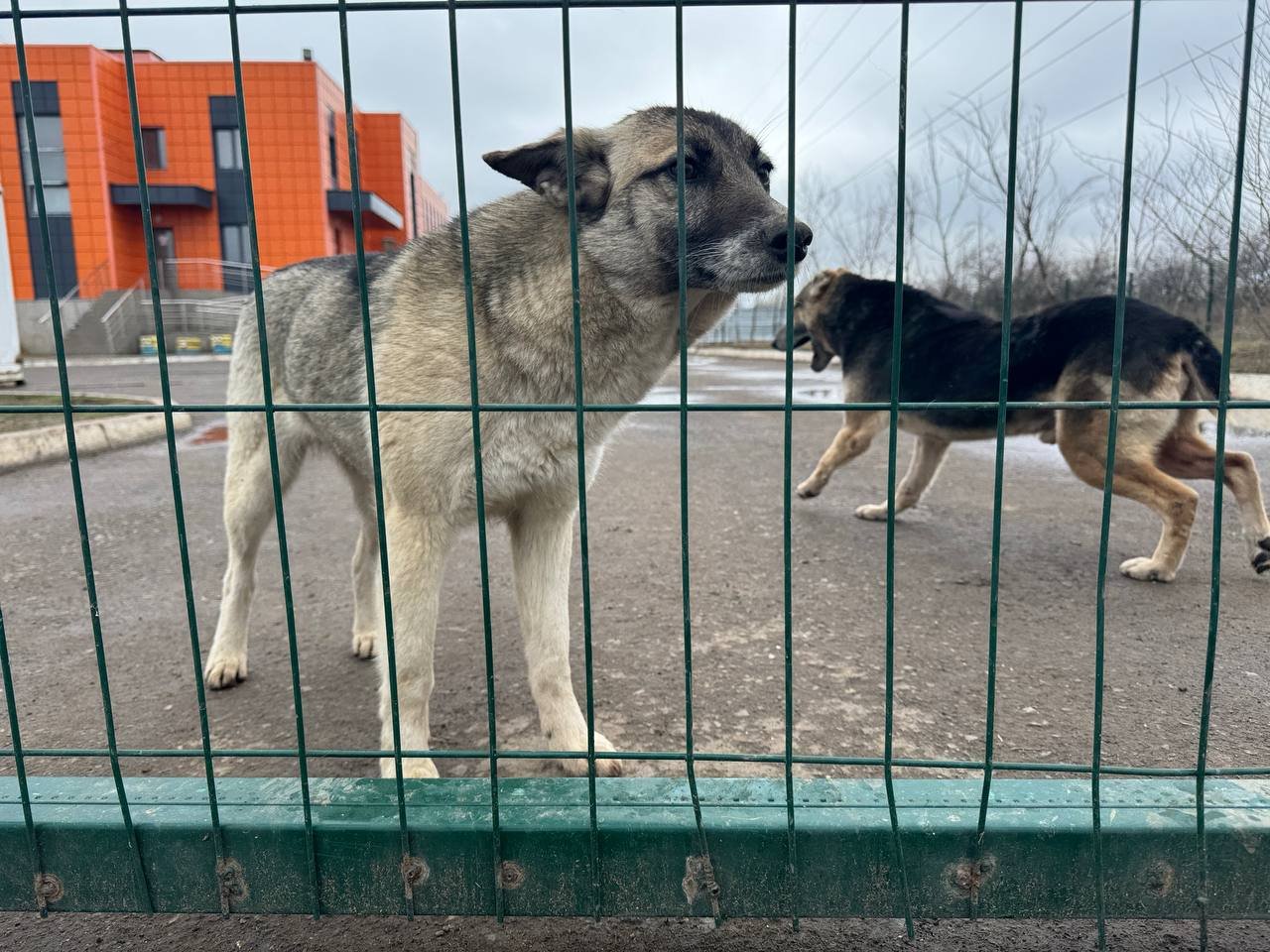 Ð¤Ð¾ÑÐ¾: Orda.kz