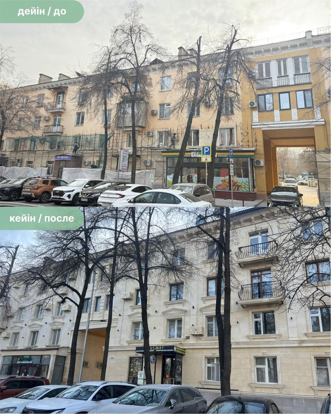 Ð¤Ð¾ÑÐ¾: ÐÐºÐ¸Ð¼Ð°Ñ ÐÐ»Ð¼Ð°ÑÑ