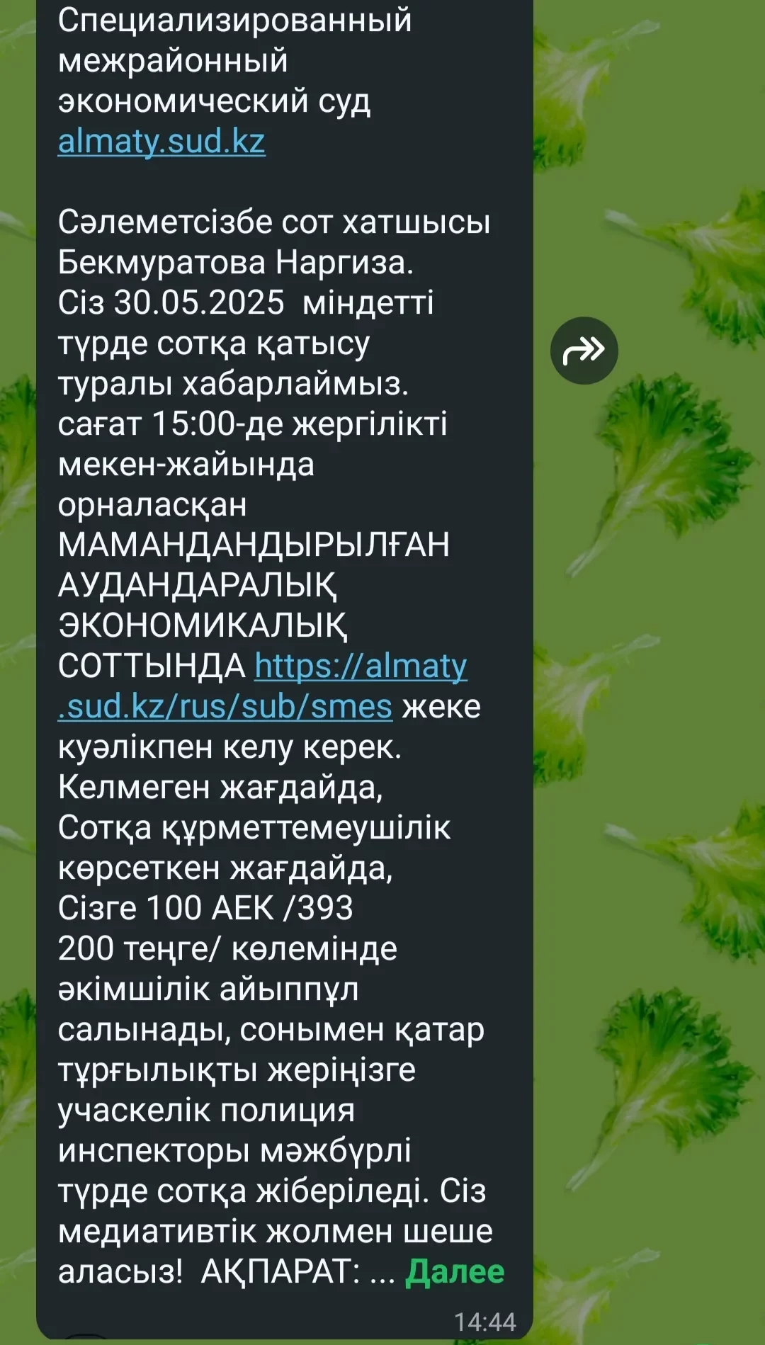 Скрин переписки: karmelitskaya.a