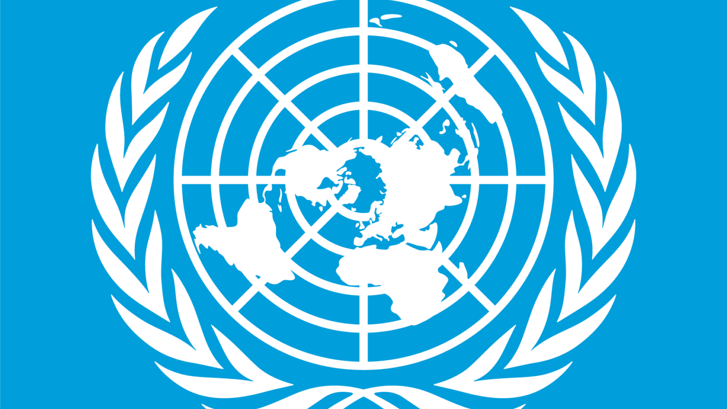 Сколько лет оон. Совет безопасности ООН эмблема. Флаг ООН. Комиссия по правам человека ООН. Рваный флаг ООН.