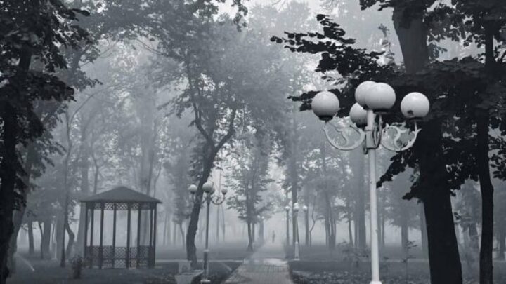 news-cover