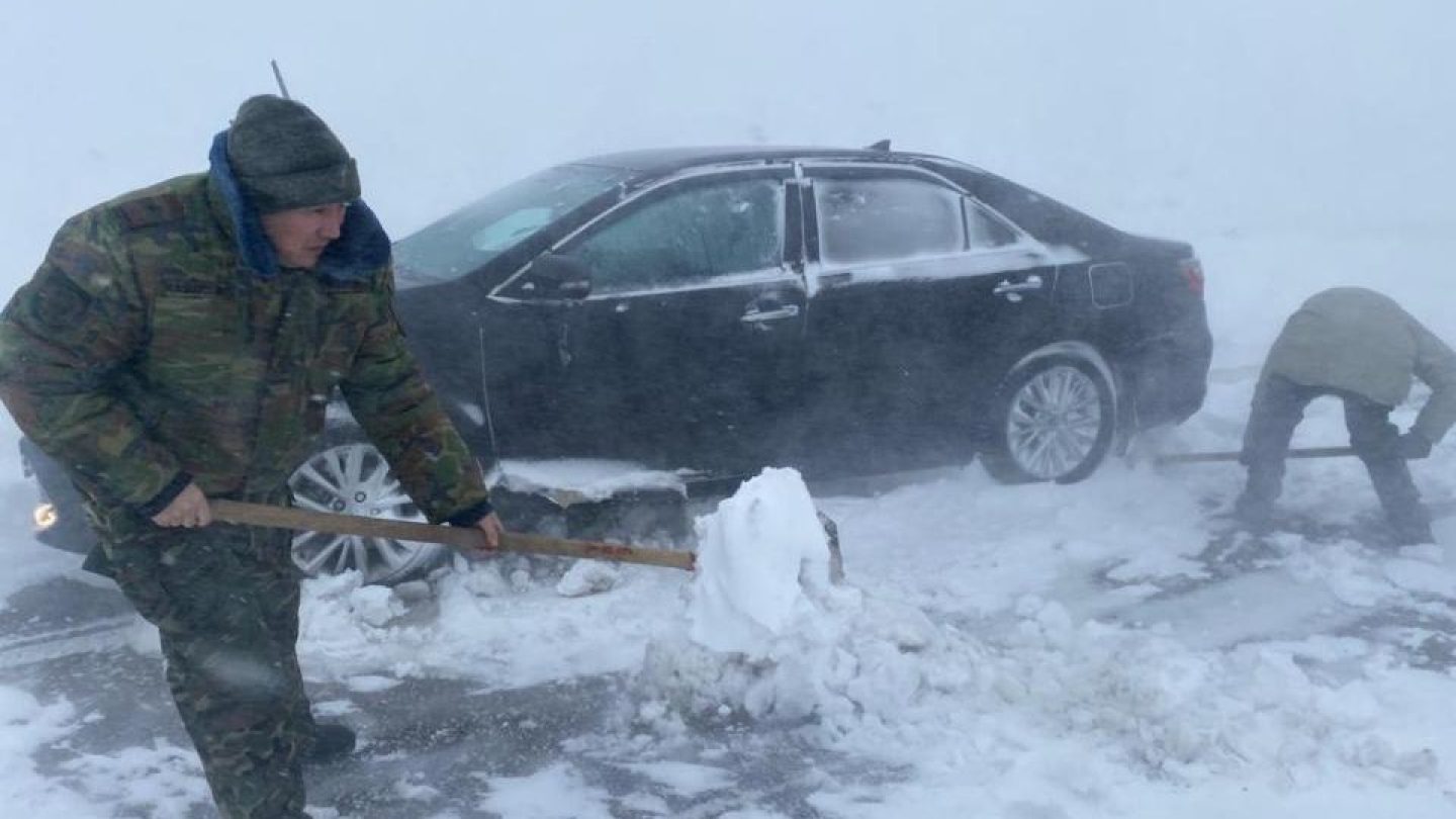 снежный человек в казахстане