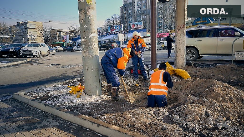 Живут в Лондоне и пилят деревья в Алматы. Репортаж ORDA из Sulpak.