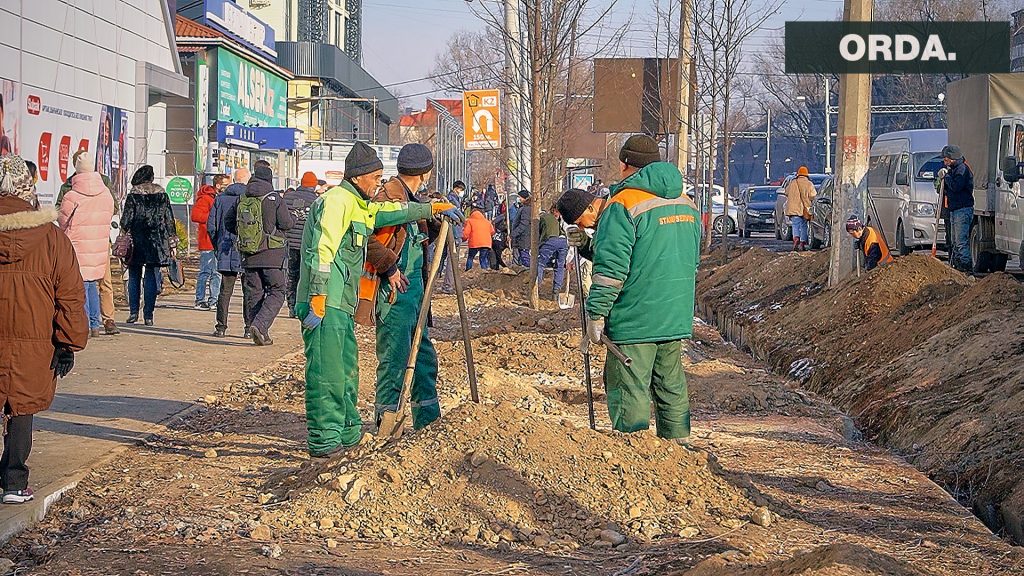 Живут в Лондоне и пилят деревья в Алматы. Репортаж ORDA из Sulpak.