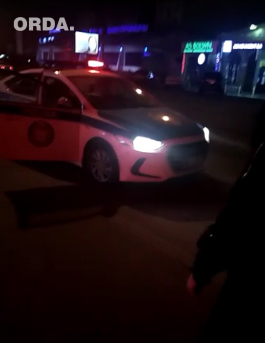 Живут в Лондоне и пилят деревья в Алматы. Репортаж ORDA из Sulpak.