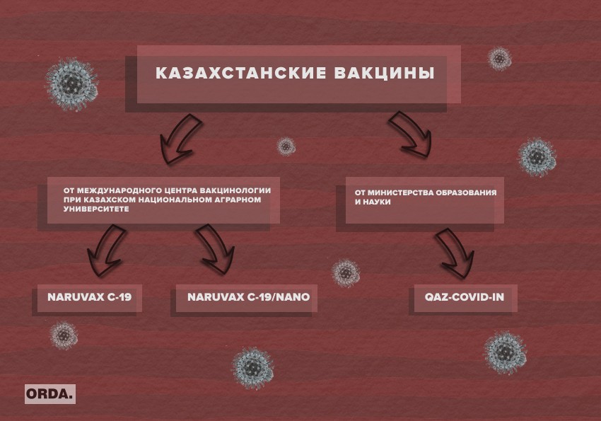 Привить всех: что мы знаем о ковид-вакцине прямо сейчас?