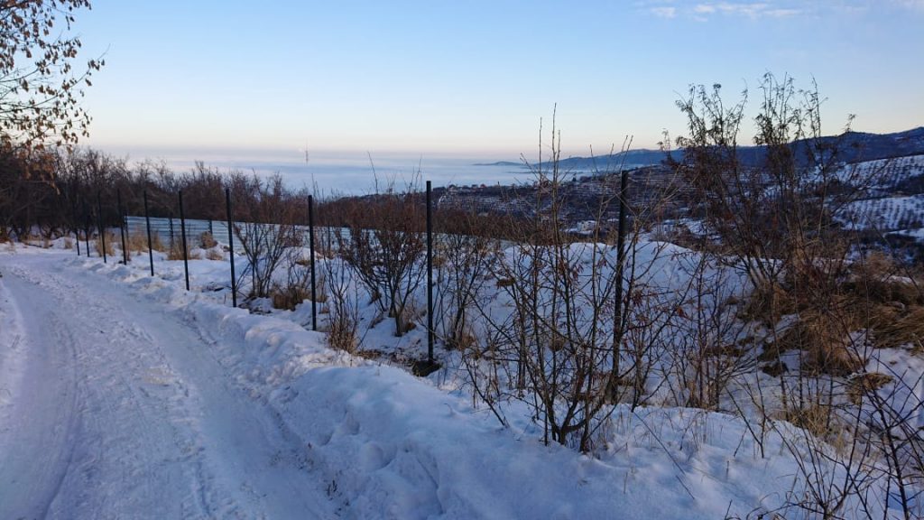 Коттеджи вместо яблоневых садов и невозвращенные народу земли
