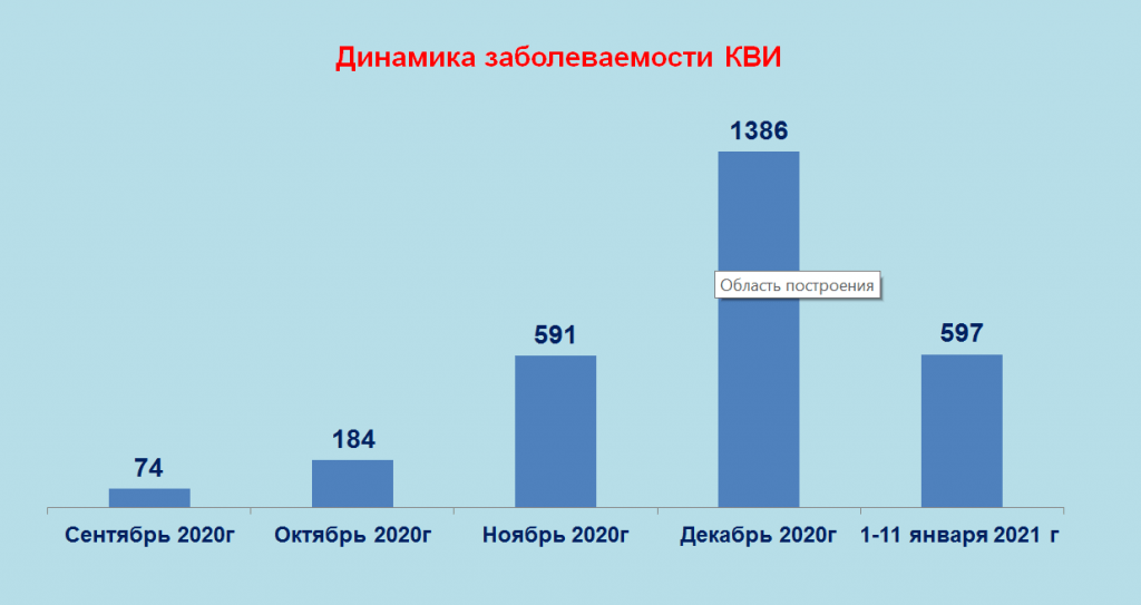Локдаун на выходные дни: В Алматинской области объявили постновогодние меры