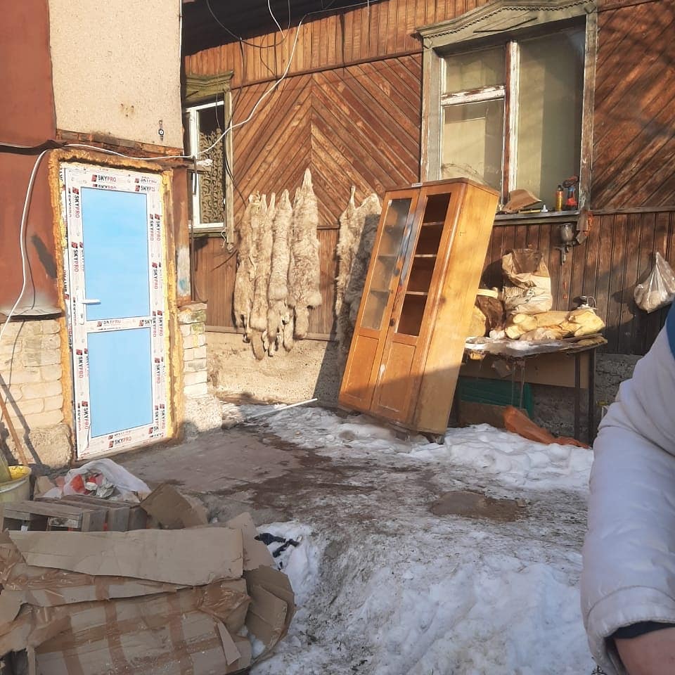Просто бизнес: ради шкур в Алматинской области убивают волков?