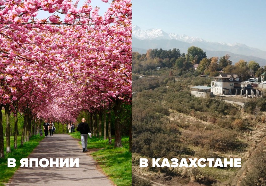 Коттеджи вместо яблоневых садов и невозвращенные народу земли