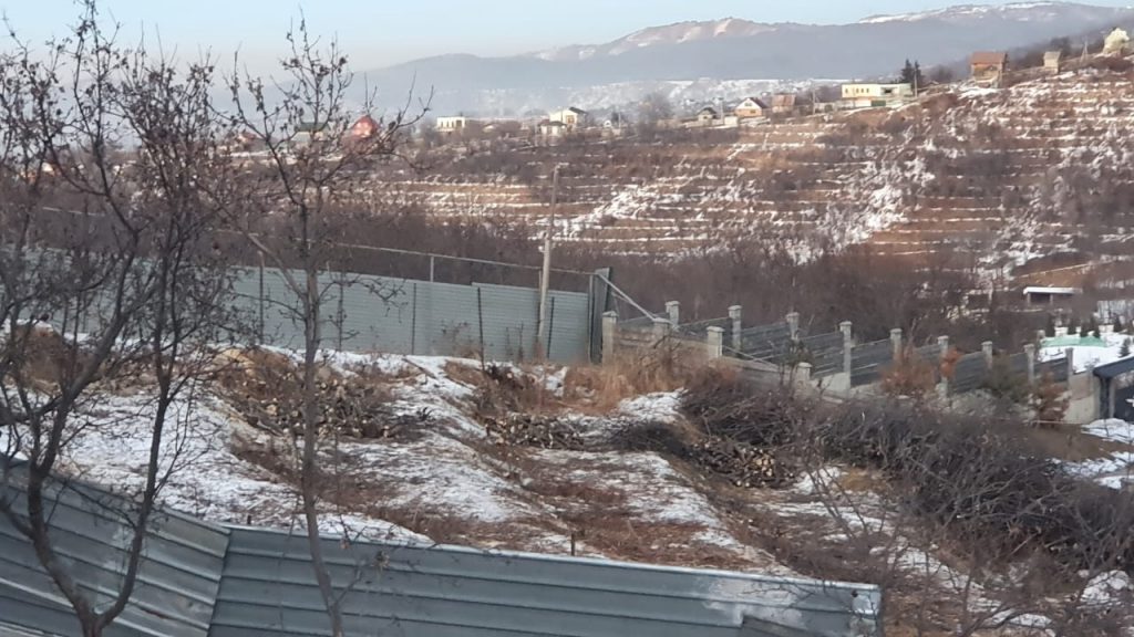 В Алматы 31 декабря уничтожили яблоневый сад