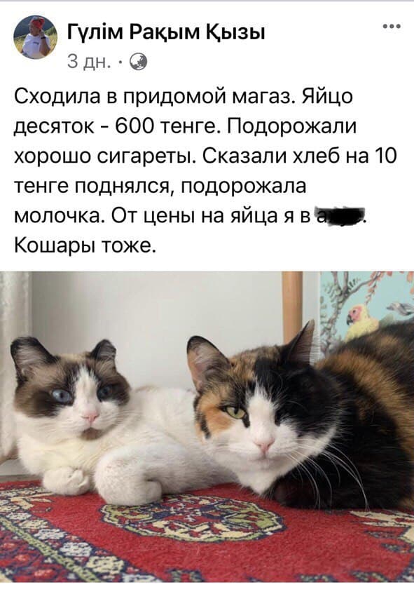 Съедаем половину того, что зарабатываем. Почему выросли цены на продукты?