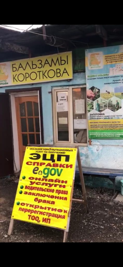 Как «игнорят» Багдата Мусина «помогайки» в ЦОНах?