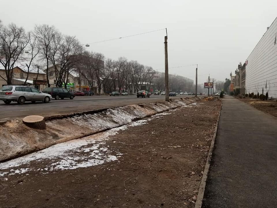 Недруги природы из акимата: почему в Алматы вырубают деревья