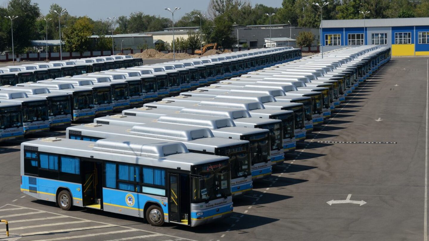Много автобусов