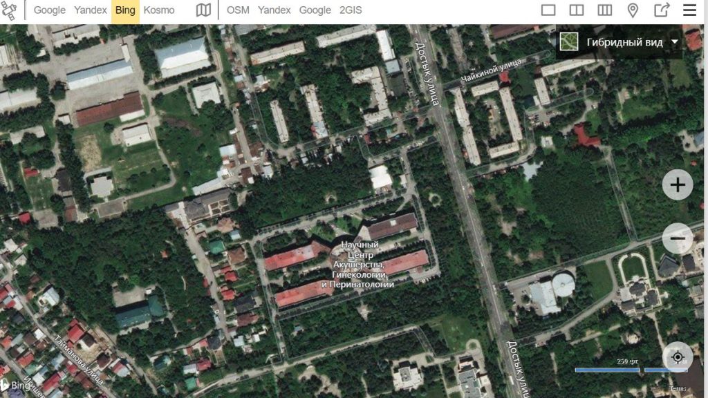 Как законно вырубить лес и построить на его месте элитный ЖК