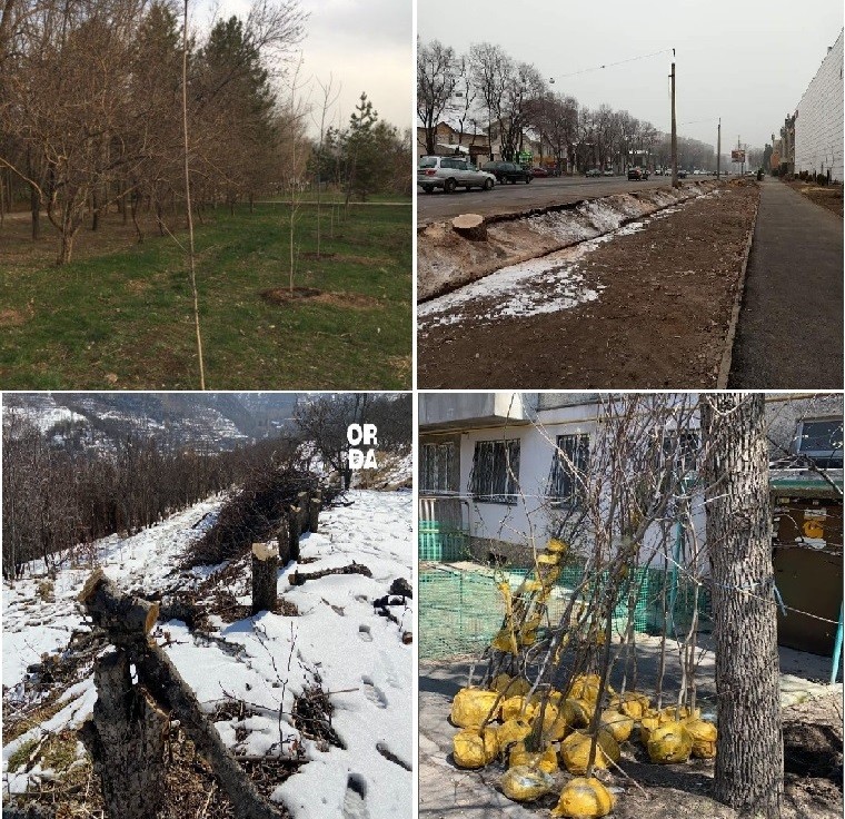 Даже Токаев и Сагинтаев бьют тревогу: почему Алматы уже не город-сад?