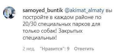 Собакам вход воспрещен! Как теперь алматинцам выгуливать своих питомцев