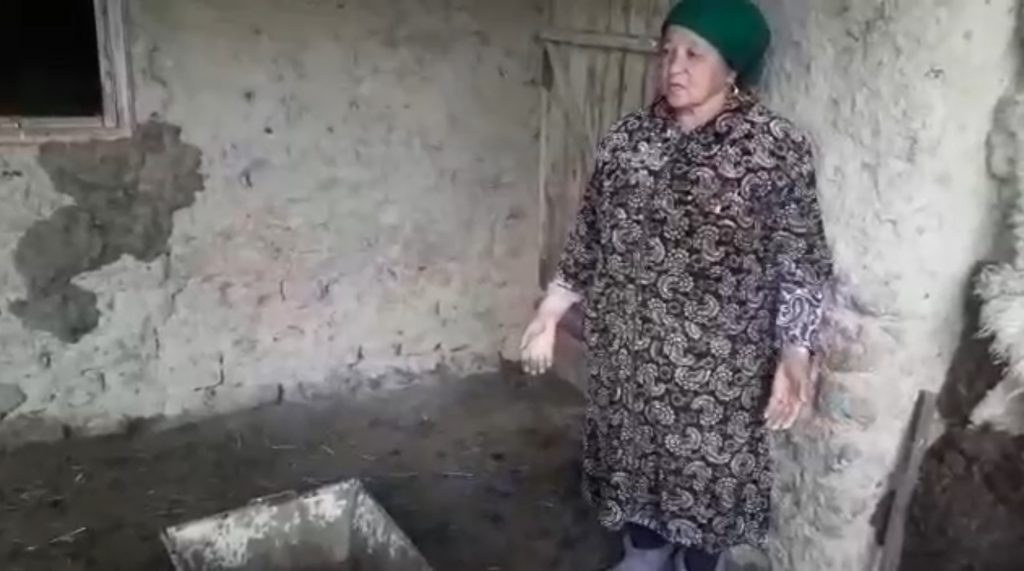 В Восточном Казахстане начался падеж скота: фермеры подсчитывают миллионные убытки