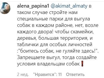 Собакам вход воспрещен! Как теперь алматинцам выгуливать своих питомцев