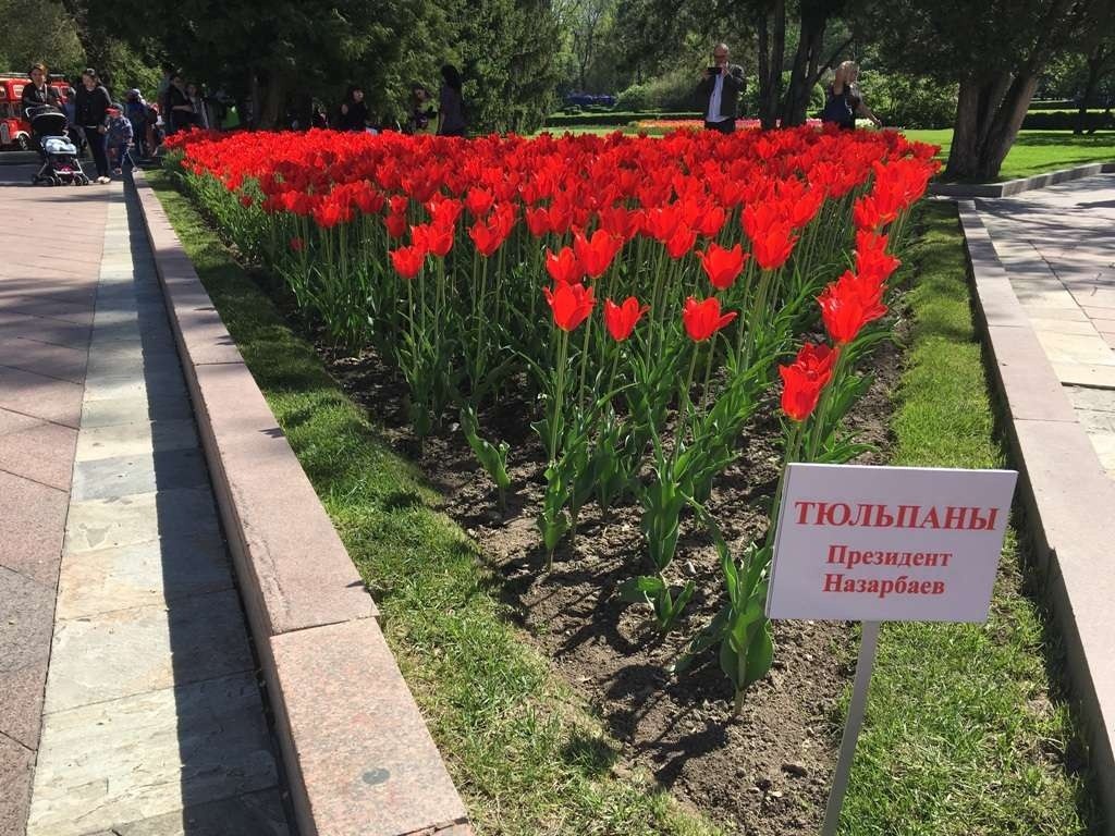 Работы много не бывает. Сколько должностей, улиц и памятников у Елбасы