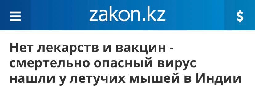 Новый опасный вирус из Индии. Стоит ли бояться