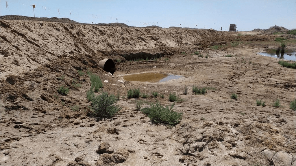 Урожая не будет, цены на корма подскочили в два раза, но вы держитесь