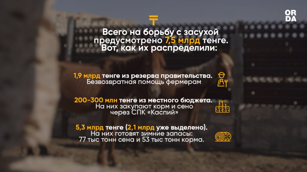 Воняет мертвечиной. Репортаж из зоны бедствия Мангистау