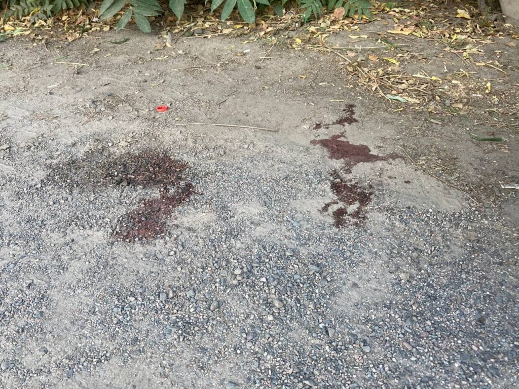 Весь ад начался, когда стали пилить ворота - жена стрелка