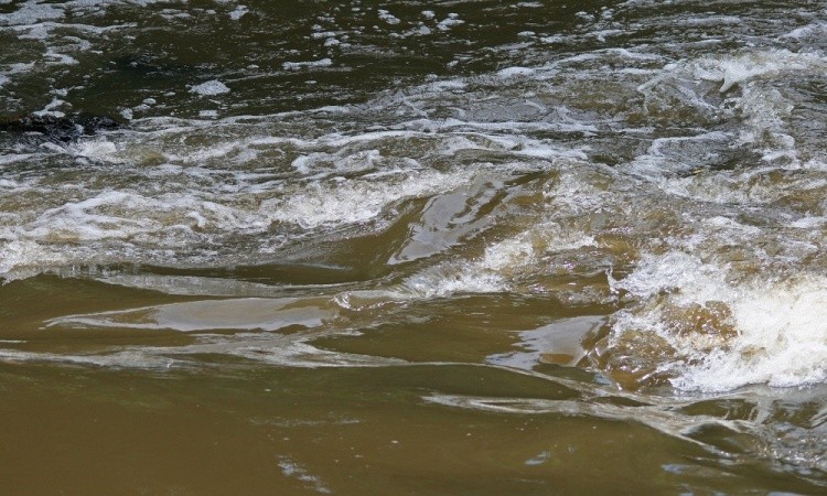 Компанию «Визол» оштрафуют за загрязнение реки в ВКО