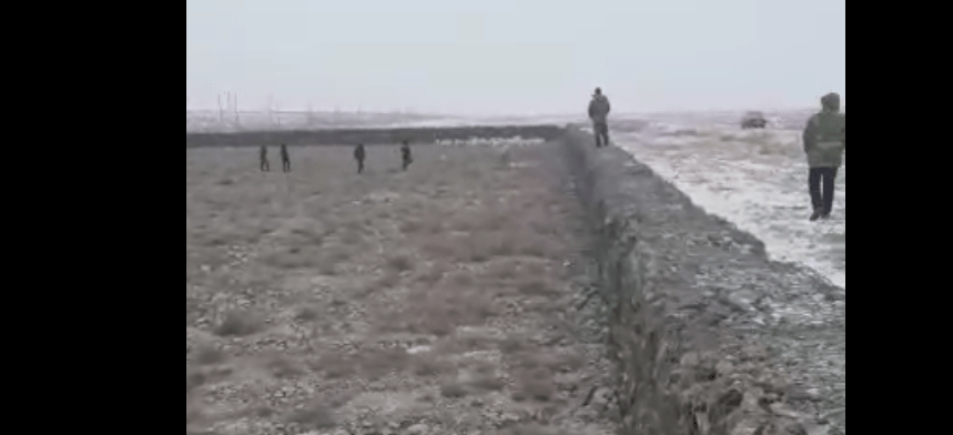 Стадо сайгаков застряло в котловане в Карагандинской области